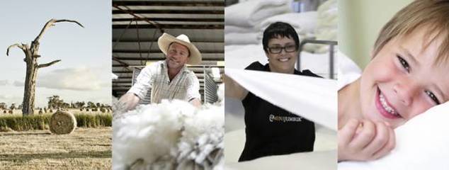 澳洲MINIJUMBUK羊毛被,堪称世界上最好的被子!